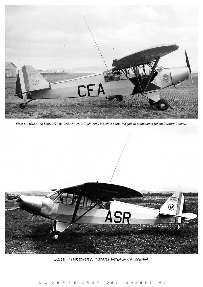 Piper L-21B_000040.jpg